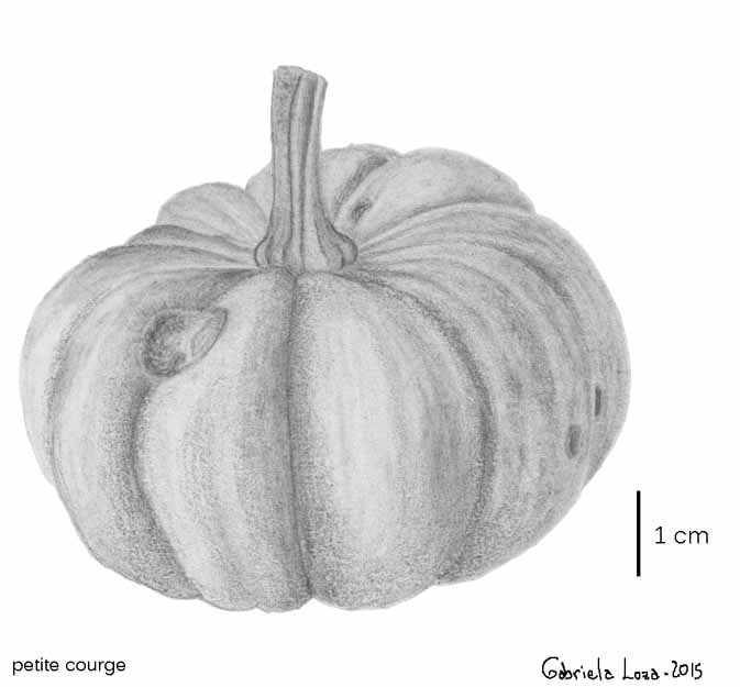 Pumpkin_pencil_1